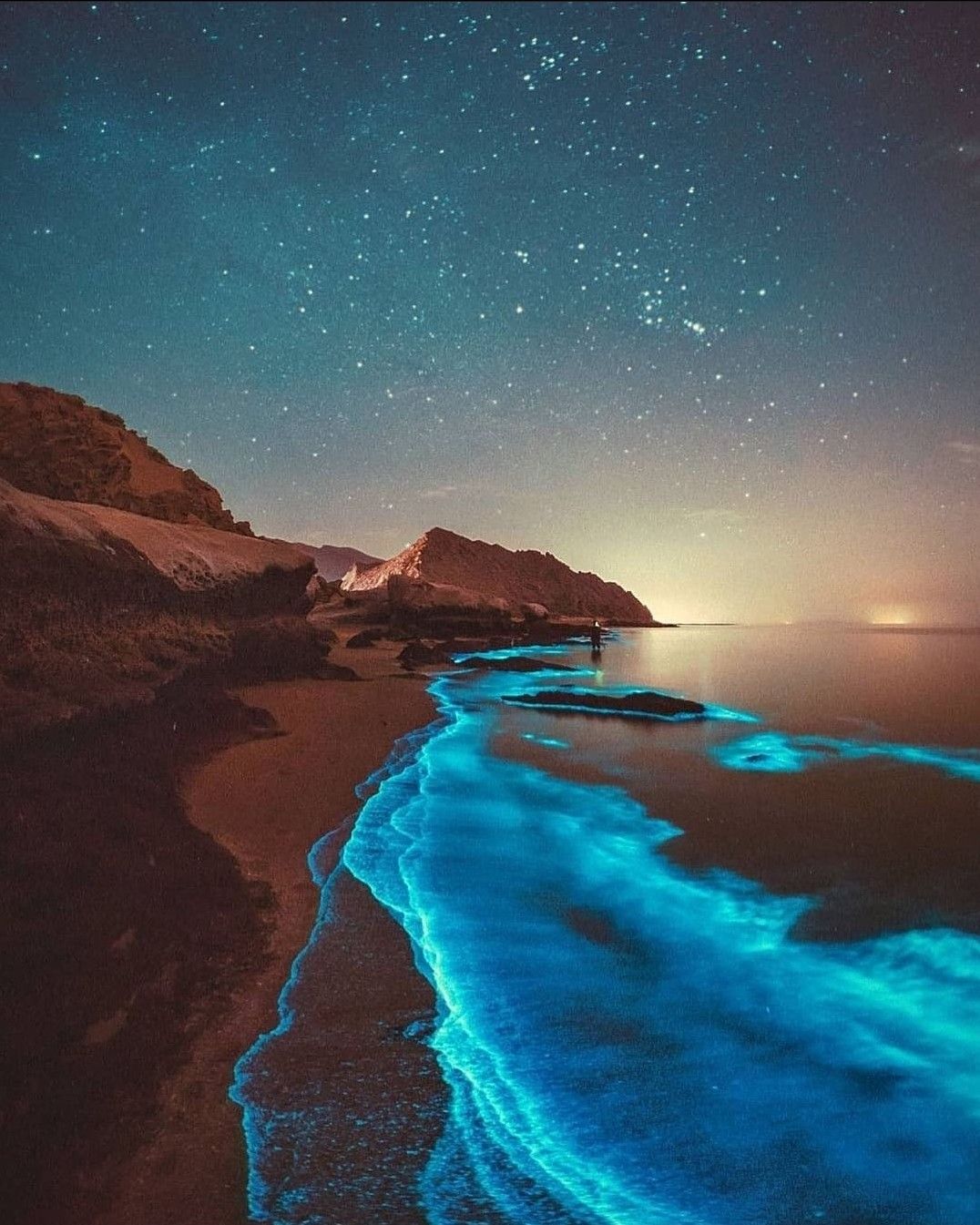 Rocky coastline beneath a night sky